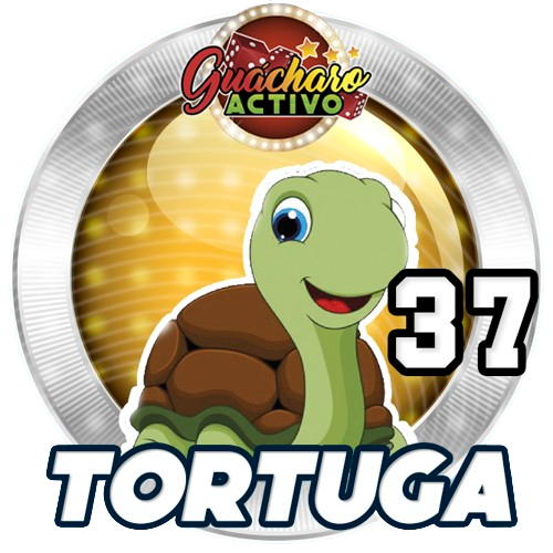 Resultado 37